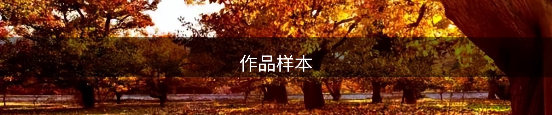 内页banner