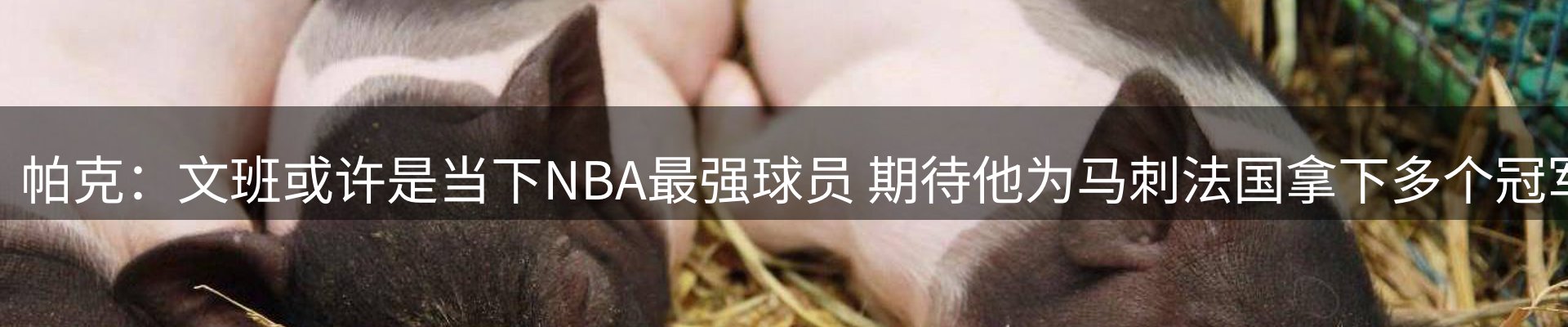 内页banner